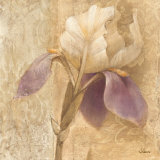 Brocade Iris Kunst von Albena Hristova