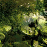 Vegetaux 14, 2008 Premium Giclee Print by Nicolas Le Beuan Bénic