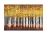 Golden Aspens Giclee Print by Robert Holman