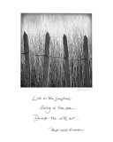 Beach Fence Posters par Deborah Schenck