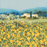 Lemon Grove, Tuscany Giclee Print by Hazel Barker Lemon Grove, Tuscany Giclee Print by Hazel Barker