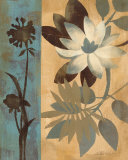 Romantic Magnolias III Prints by Silvia Vassileva