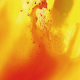 4719, Carre 3, 2008 Premium Giclee Print by Pier Mahieu