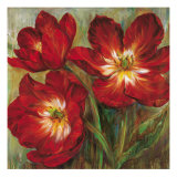 Flamenco Reds Giclee Print by Liv Carson