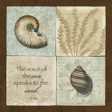 The Voice of the Sea Art par Stephanie Marrott