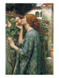 The Soul of the Rose, 1908 Wydruk giclee autor John William Waterhouse The Soul of the Rose, 1908 Wydruk giclee autor John William Waterhouse