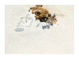 Rendre Compte, 2008 Silketrykk av Gabriel Belgeonne