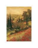 Vallée toscane I Affiches par Art Fronckowiak
