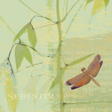 Sereniteit Poster