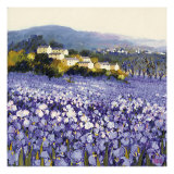 Champs D'Iris, Provence Giclee Print by Hazel Barker