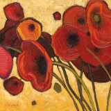 Poppies Wildly I Affiches par Shirley Novak
