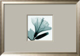 Hibiscus and Bud Art by Steven N. Meyers
