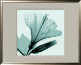 Hibiscus and Bud Poster by Steven N. Meyers