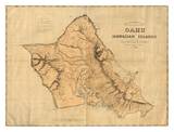Oahu, Hawaiian Islands, c.1881 Art