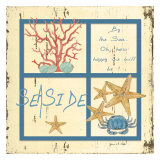 Distressed Wood: Seaside Poster par Grace Pullen
