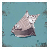 Distressed Seashells: Conch Print by Melody Hogan