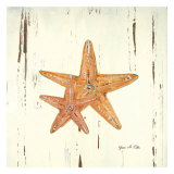 starfish II Art by Grace Pullen