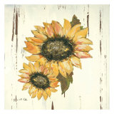 Sunflower I Prints by Grace Pullen