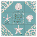 Seashell Collage III Prints by Melody Hogan