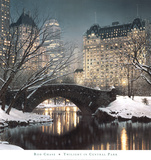 Twilight in Central Park Kunstdrucke von Rod Chase