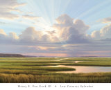 Low Country Splendor Poster von Henry Von Genk