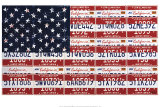 USA License Flag Print by Brady Barker