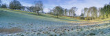 Trees on a Landscape, Warter, East Yorkshire, England Photographic Print by  Panoramic Images