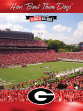 University of Georgia-Stadium Shot Photo