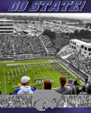Kansas State University- Stadium Shot Photo