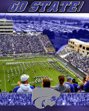 Kansas State University-Stadium Shot Photo