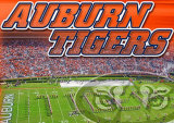 Auburn University-Jordane- Hare Stadiium Photo
