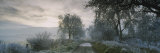 Frost on Trees, Staxton, North Yorkshire, England Photographic Print by  Panoramic Images