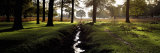 Stream Passing Through a Park, Richmond Park, London, England Photographic Print by Panoramic Images