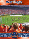 Auburn University-Stadium Shot Photo