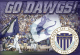 University of Washington-Husky Stadium Photo