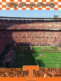 University of Tennessee-Stadium Shot Photo