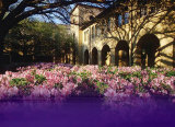 Louisiana State University-Himes Hall Photo