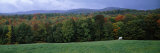 Horse Grazing in a Field, Caledonia County, Vermont, USA Photographic Print by  Panoramic Images