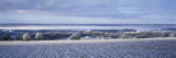 Winter Farm Field Sweden Photographic Print by  Panoramic Images