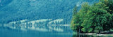 Slovenia, Lake Bohinj Photographic Print by  Panoramic Images