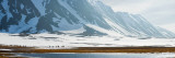 Snow Covered Mountains, Bellsund, Spitsbergen, Svalbard Islands, Norway Photographic Print by  Panoramic Images