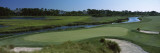 River and a Golf Course, Ocean Course, Kiawah Island Golf Resort, Kiawah Island Photographic Print by  Panoramic Images