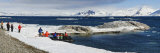 Tourists Standing in Snow, Hornsund, Spitsbergen, Svalbard Islands, Norway Photographic Print by  Panoramic Images