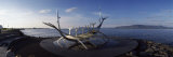 Viking Ship Sculpture at the Coast, Reykjavik, Iceland Photographic Print by  Panoramic Images