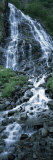Waterfall in a Forest, Horsetail Falls, Valdez, Alaska, USA Lámina fotográfica por Panoramic Images Waterfall in a Forest, Horsetail Falls, Valdez, Alaska, USA Lámina fotográfica por Panoramic Images