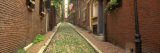 Massachusetts, Boston, Beacon Hill Photographic Print by  Panoramic Images