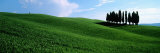 Silhouette of Cypress Trees on a Rolling Landscape, Val D'Orcia, Tuscany, Italy Photographic Print by  Panoramic Images