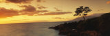 Hawaii, Maui, Wailea Point Photographic Print by  Panoramic Images