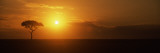 Sunrise over a Landscape, Masai Mara National Reserve, Kenya Photographic Print by  Panoramic Images
