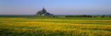 Mont Saint Michel Normandy France Photographic Print by  Panoramic Images